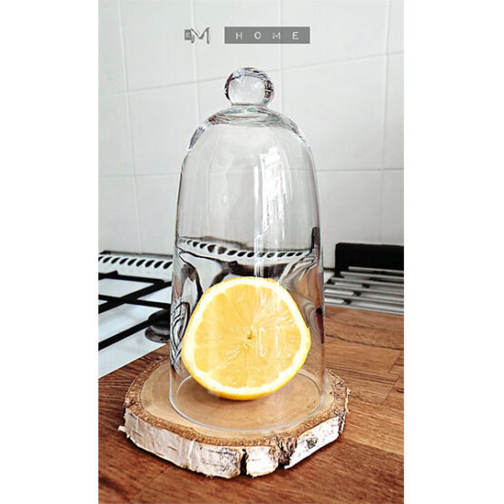 97-small-handmade-display-glass-bell-jar-cloche-dome-15-cm-2