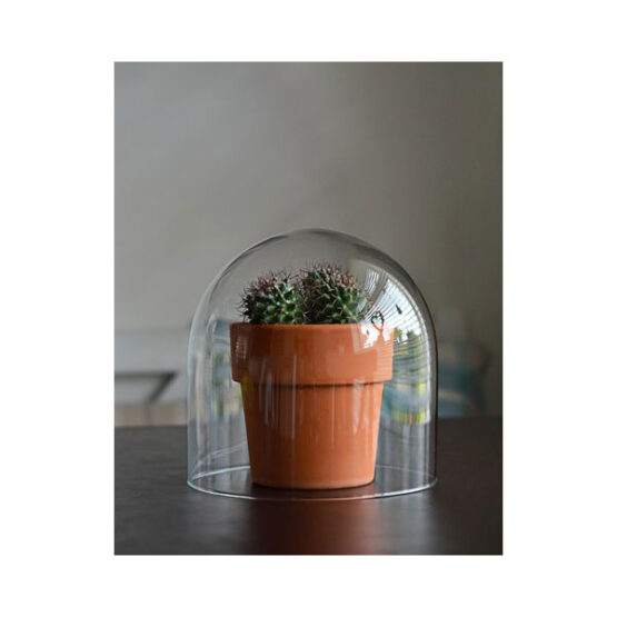 small-handmade-mouth-blown-clear-circular-glass-display-cloche-bell-jar-dome-20-cm