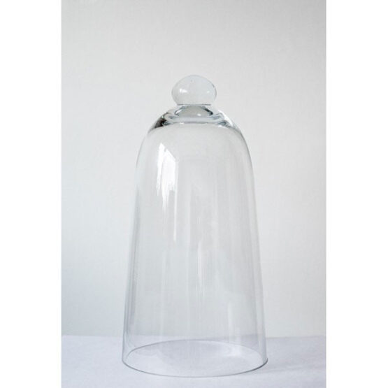 853-Mouth-Blown-Glass-Display-Cover-Cloche-Bell-Dome-Centrepiece-Glocke-29-cm1