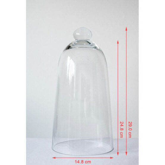 853-Mouth-Blown-Glass-Display-Cover-Cloche-Bell-Dome-Centrepiece-Glocke-29-cm2