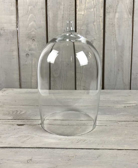 handmade-mouth-blown-clear-circular-glass-display-cloche-bell-jar-dome-60-cm-copy