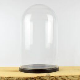 large-handmade-mouth-blown-glass-dome-with-wooden-base-52x31-cm