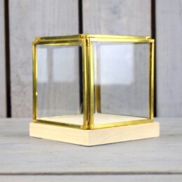 small-glass-and-brass-display-showcase-box-with-wooden-base