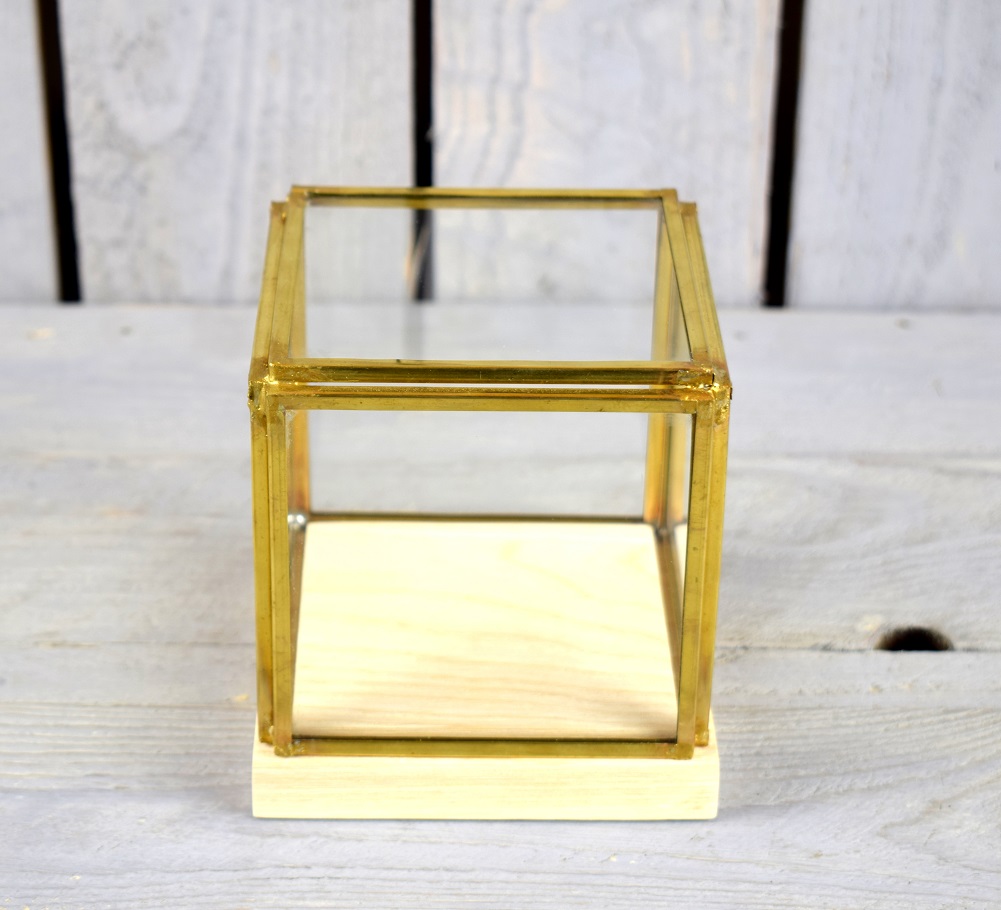 Small Glass and Brass Display Showcase Box Dome with Wooden Base 