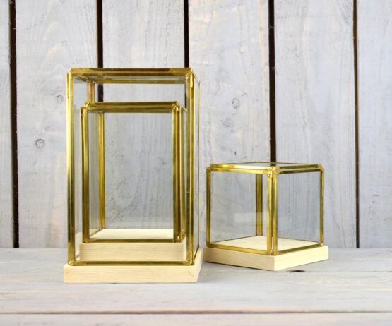 glass-and-brass-display-showcase-box-with-wooden-base-tall-23-5-cm