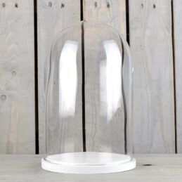 small-glass-dome-display-cover-cloche-white-wooden-base-height-27-5cm