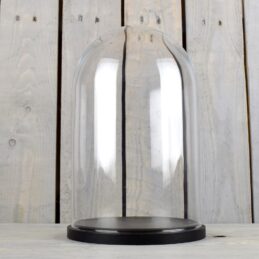 medium-glass-dome-display-cover-cloche-black-base-height-31cm