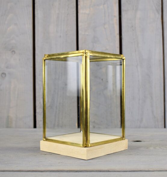 glass-and-brass-display-showcase-box-with-wooden-base-tall-17-5-cm