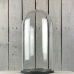 large-glass-dome-cover-cloche-display-with-black-wooden-base-height-46-cm