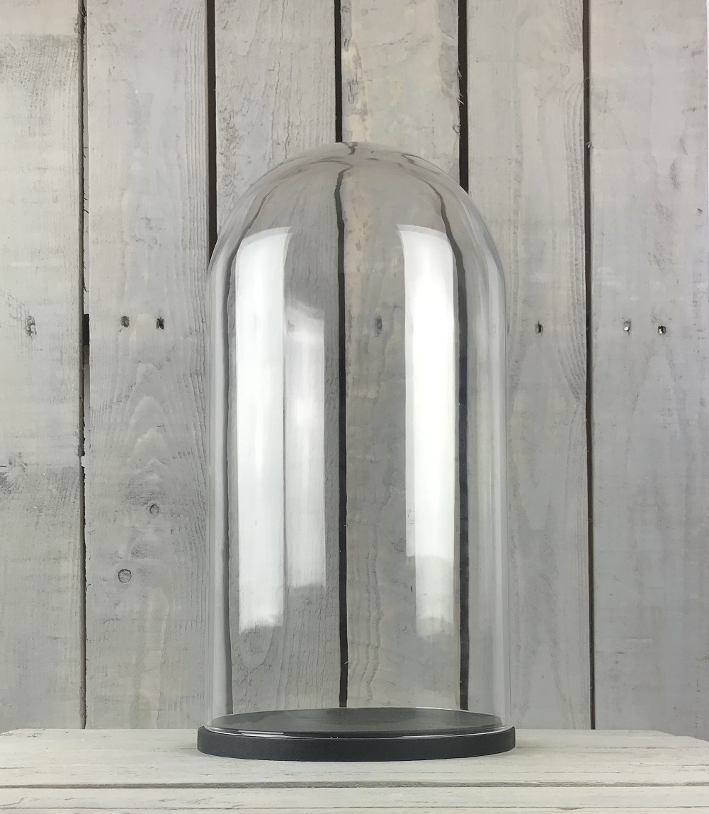 Large Glass Dome Cover Cloche Display Height 50 cm 