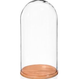 large-glass-display-cover-dome-cloche-with-natural-beech-base-height-46-cm
