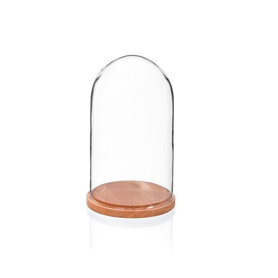 small-glass-display-cover-dome-cloche-with-natural-beech-base-height-27-5cm