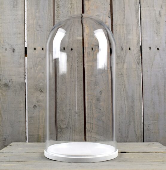 large-glass-dome-cover-cloche-display-with-white-wooden-base-height-46-cm