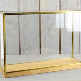 large-glass-and-brass-display-showcase-box-dome-with-wooden-base-tall-28-5-cm