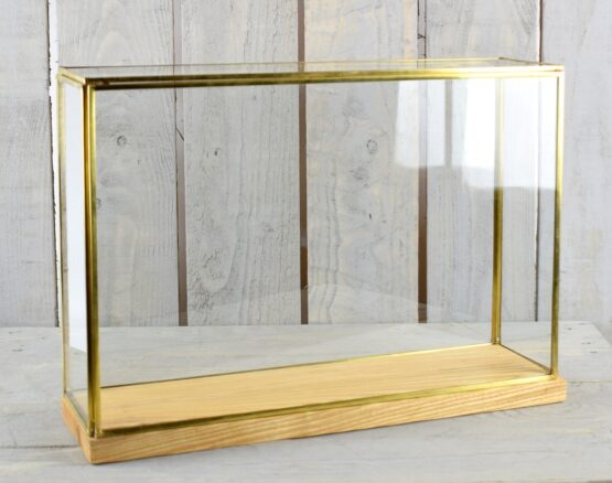 large-glass-and-brass-display-showcase-box-dome-with-wooden-base-tall-28-5-cm