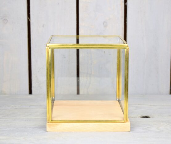 Glass and Brass Display Showcase Box Dome with Wooden Base 14.5 cm