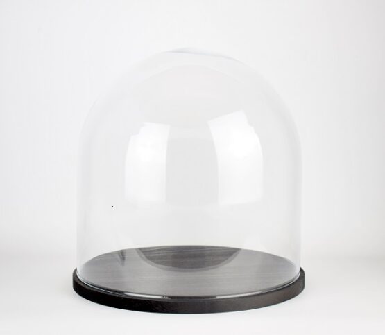 Handmade Mouth Blown Clear Circular Glass Display Cloche Dome with Black Wooden Base 31.5 cm