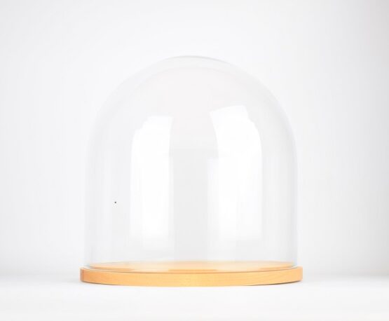 handmade-mouth-blown-clear-circular-glass-display-cloche-dome-with-wooden-base-31-5-cm