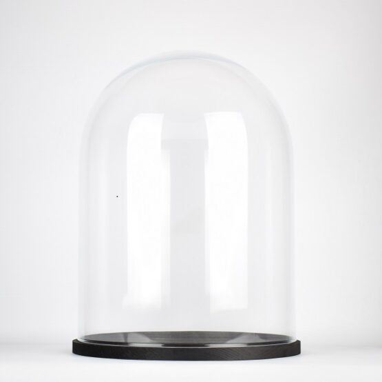 Handmade Clear Circular Large Glass Display Cloche Dome with Black Wooden Base 41.5 cm