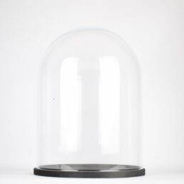 handmade-clear-circular-large-glass-display-cloche-dome-with-black-wooden-base-41-5-cm
