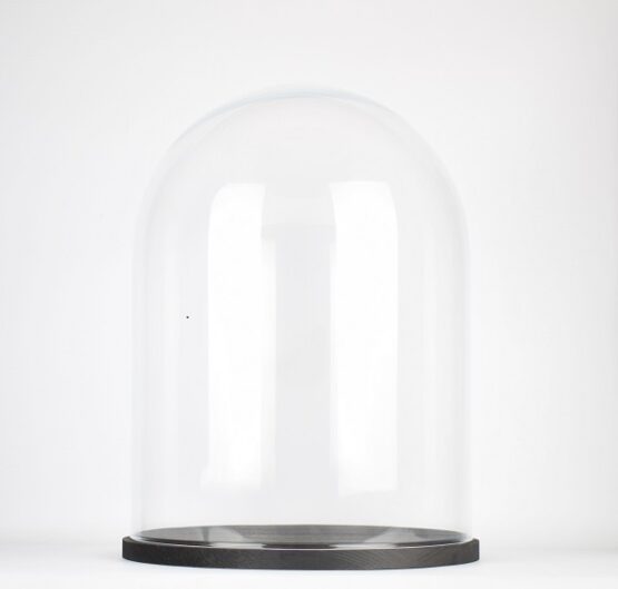 handmade-clear-circular-large-glass-display-cloche-dome-with-black-wooden-base-41-5-cm