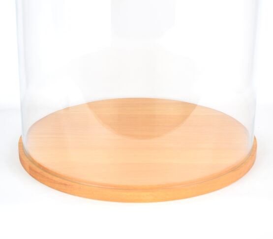 Large Glass Dome Cover Cloche Display with Wooden Base Height 55 cm