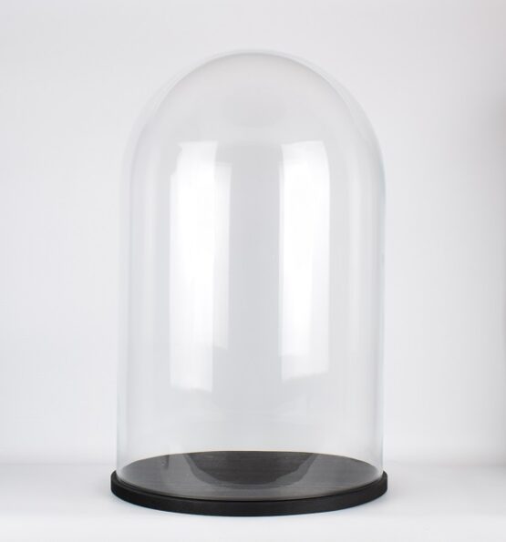large-glass-dome-cover-cloche-display-with-black-wooden-base-height-55-cm