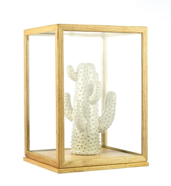 Glass and Wooden Frame Display Showcase Cover With Base by EMH 31 cm