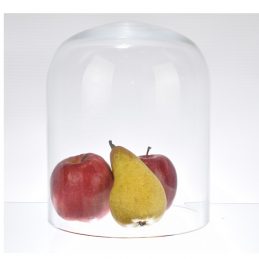 medium-glass-dome-display-cloche-22-cm-x-17-5-cm