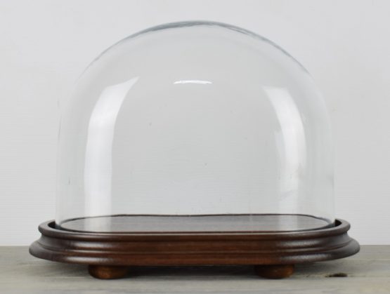 vintage-look-medium-oval-glass-dome-with-wooden-base-height-23-cm