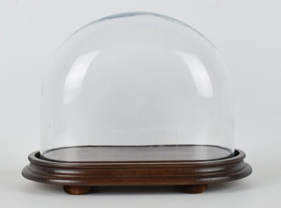 vintage-look-medium-oval-glass-dome-with-wooden-base-height-23-cm