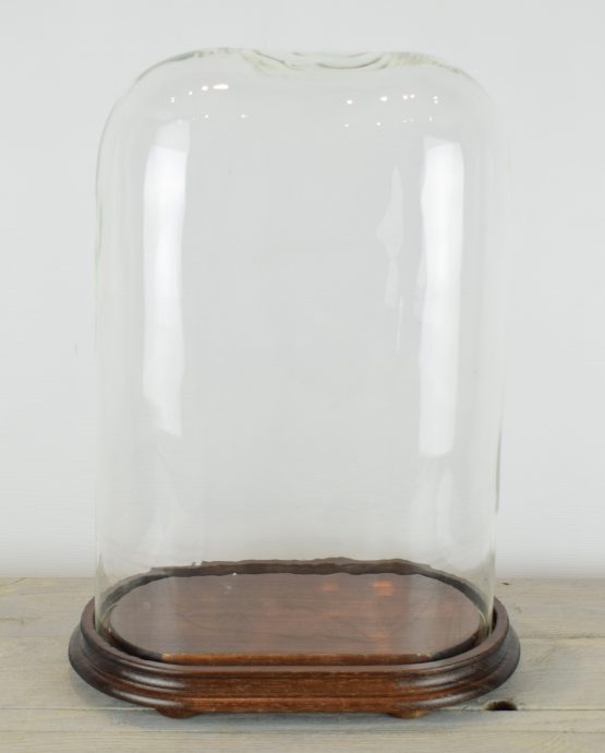 vintage-look-medium-oval-glass-dome-with-wooden-base-h-42-5-cm