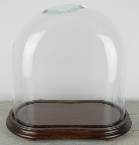 vintage-look-medium-oval-glass-dome-with-wooden-base-height-37-cm