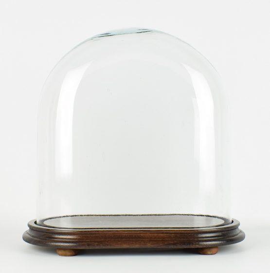 vintage-look-medium-oval-glass-dome-with-wooden-base-height-37-cm