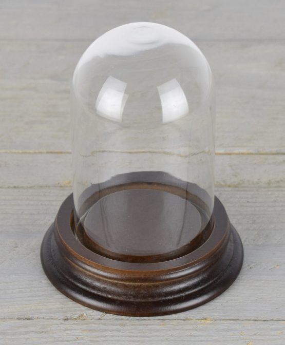 vintage-look-small-glass-dome-with-wooden-base-height-11-5-cm