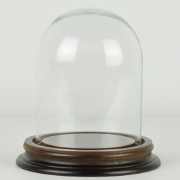 vintage-look-small-glass-dome-with-wooden-base-height-13-5-cm