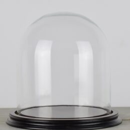 vintage-look-medium-dome-with-wooden-base-height-27-cm