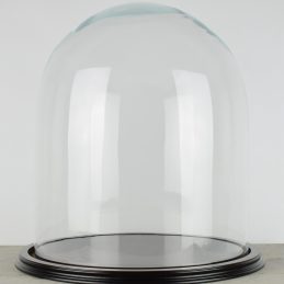 vintage-look-medium-glass-dome-with-wooden-base-height-42-cm