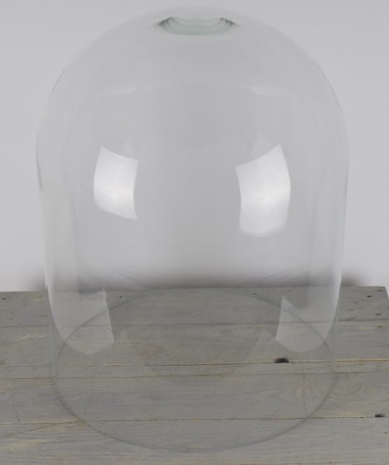 vintage-look-large-glass-display-dome-height-50-cm