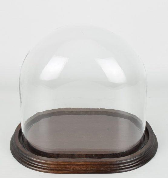 medium-oval-glass-display-dome-with-wooden-base-height-21-cm