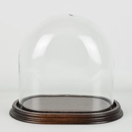 medium-oval-glass-display-dome-with-wooden-base-height-21-cm