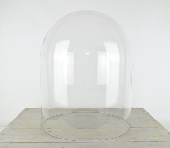 large-glass-dome-display-cloche-bel-44-5x35-5-cm