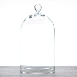 glass-dome-display-cloche-with-knob-h24-cm-x-d12-5-cm