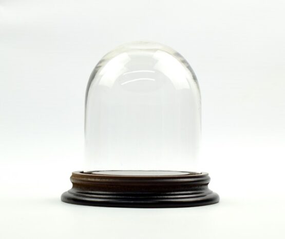 vintage-look-small-glass-dome-with-wooden-base-height-11-5-x-8-5-cm