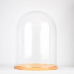 Mini plastic dome for presentation - Small bell