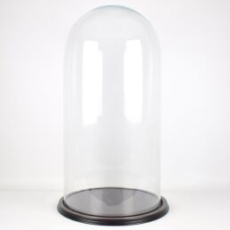 vintage-look-glass-dome-with-wooden-base-height-80-5-cm-x-25-cm