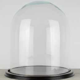 vintage-look-glass-dome-with-wooden-base-height-50-cm-x-27-5-cm
